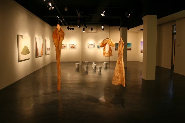 Gallery of Visual Arts